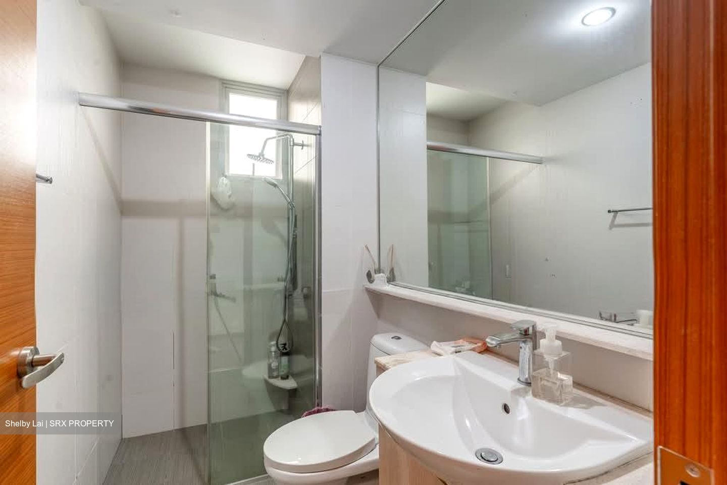 The Raintree (D21), Condominium #559141721